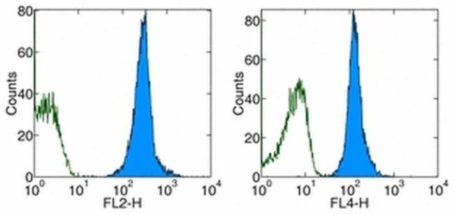 CD45.2 Monoclonal Antibody (104), Biotin, eBioscience