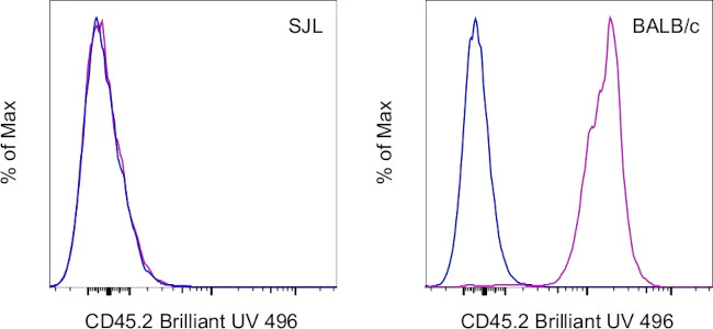 CD45.2 Monoclonal Antibody (104), Brilliant Ultra Violet 496, eBioscience