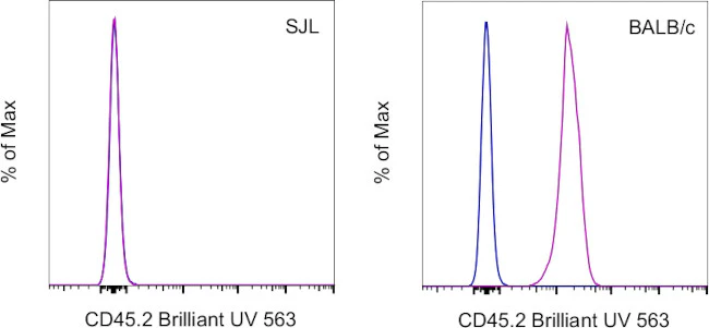 CD45.2 Monoclonal Antibody (104), Brilliant Ultra Violet 563, eBioscience