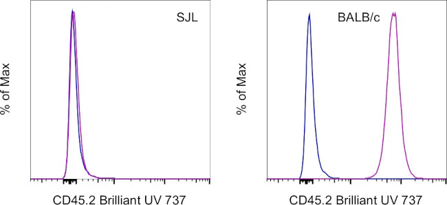 CD45.2 Monoclonal Antibody (104), Brilliant Ultra Violet 737, eBioscience