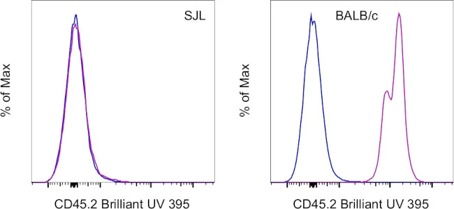 CD45.2 Monoclonal Antibody (104), Brilliant Ultra Violet™ 395, eBioscience™