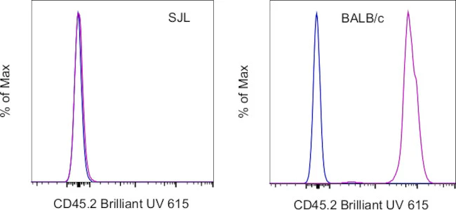 CD45.2 Monoclonal Antibody (104), Brilliant Ultra Violet™ 615