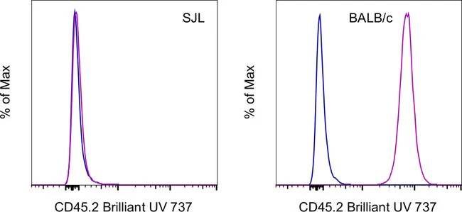 CD45.2 Monoclonal Antibody (104), Brilliant Ultra Violet™ 737, eBioscience™