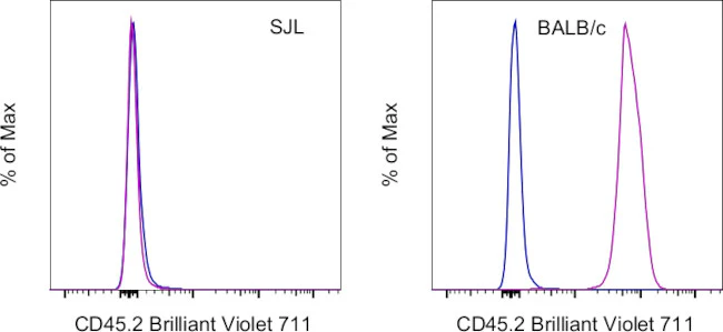 CD45.2 Monoclonal Antibody (104), Brilliant Violet 711, eBioscience