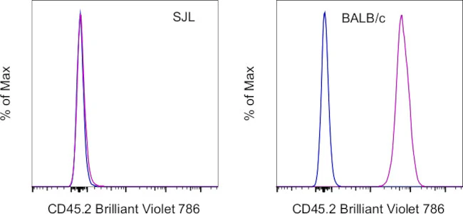 CD45.2 Monoclonal Antibody (104), Brilliant Violet 786, eBioscience