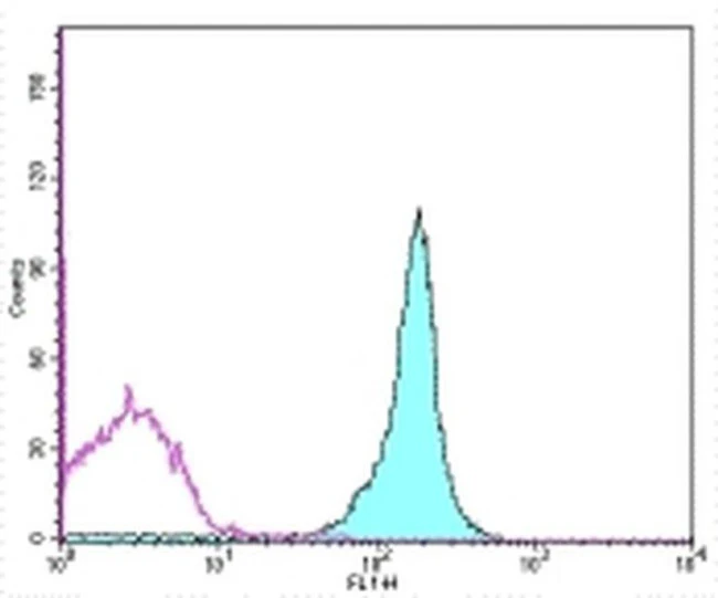 CD45.2 Monoclonal Antibody (104), FITC, eBioscience