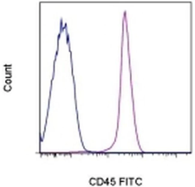 CD45 Monoclonal Antibody (OX1), FITC, eBioscience
