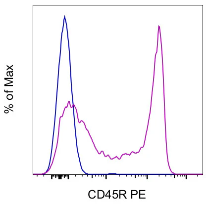 CD45R (B220) Monoclonal Antibody (HIS24), PE, eBioscience