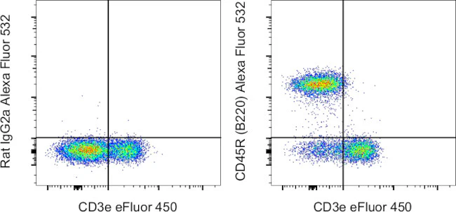 CD45R (B220) Monoclonal Antibody (RA3-6B2), Alexa Fluor 532, eBioscience