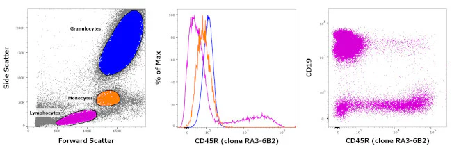 CD45R (B220) Monoclonal Antibody (RA3-6B2), Biotin, Functional Grade, eBioscience