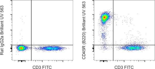 CD45R (B220) Monoclonal Antibody (RA3-6B2), Brilliant Ultra Violet 563, eBioscience