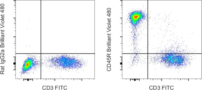 CD45R (B220) Monoclonal Antibody (RA3-6B2), Brilliant Violet 480, eBioscience