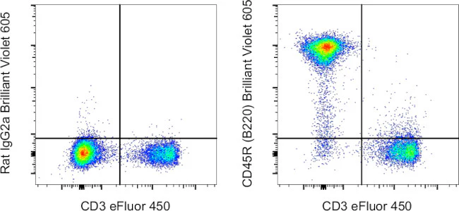 CD45R (B220) Monoclonal Antibody (RA3-6B2), Brilliant Violet 605, eBioscience