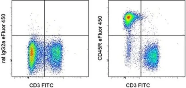 CD45R (B220) Monoclonal Antibody (RA3-6B2), eFluor 450, eBioscience