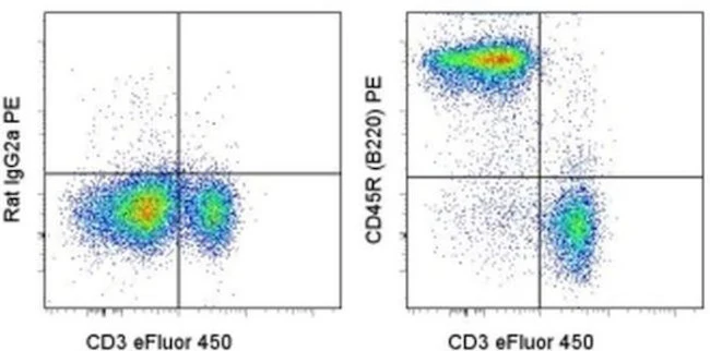 CD45R (B220) Monoclonal Antibody (RA3-6B2), PE, eBioscience