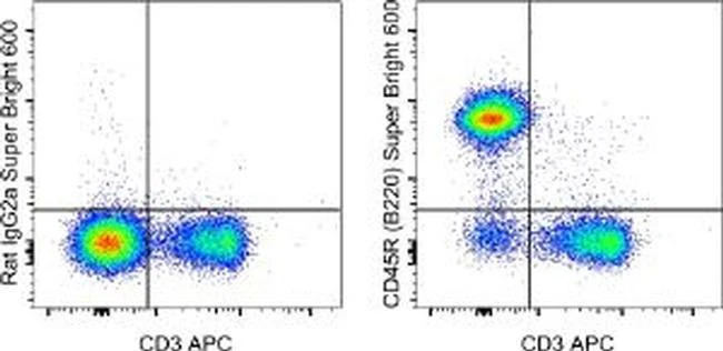 CD45R (B220) Monoclonal Antibody (RA3-6B2), Super Bright™ 600, eBioscience™