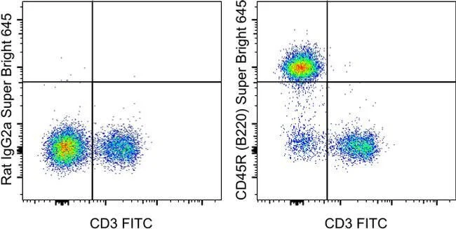 CD45R (B220) Monoclonal Antibody (RA3-6B2), Super Bright™ 645, eBioscience™