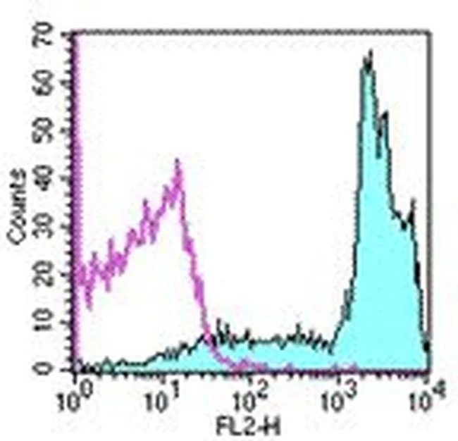 CD45RB Monoclonal Antibody (C363.16A), PE, eBioscience