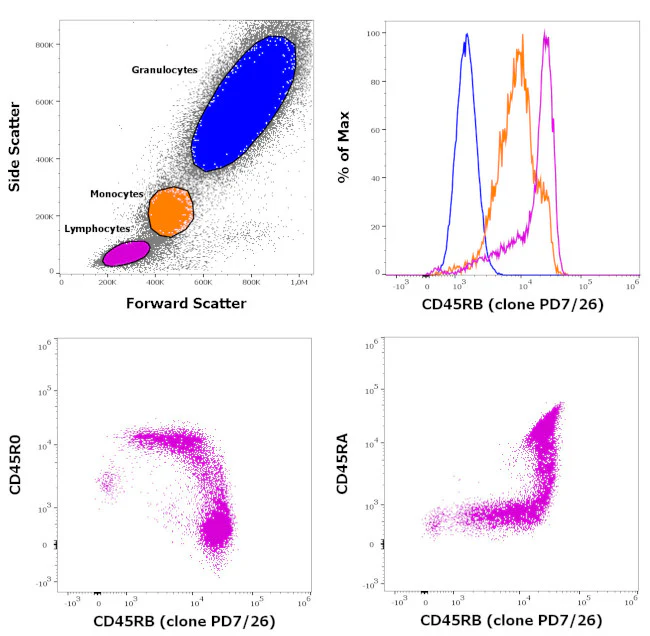 CD45RB Monoclonal Antibody (PD7/26), eFluor 660, eBioscience
