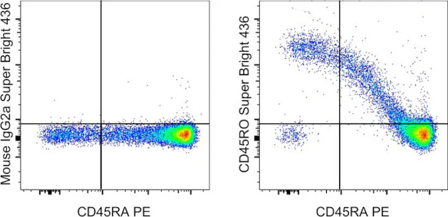 CD45RO Monoclonal Antibody (UCHL1), Super Bright 436, eBioscience