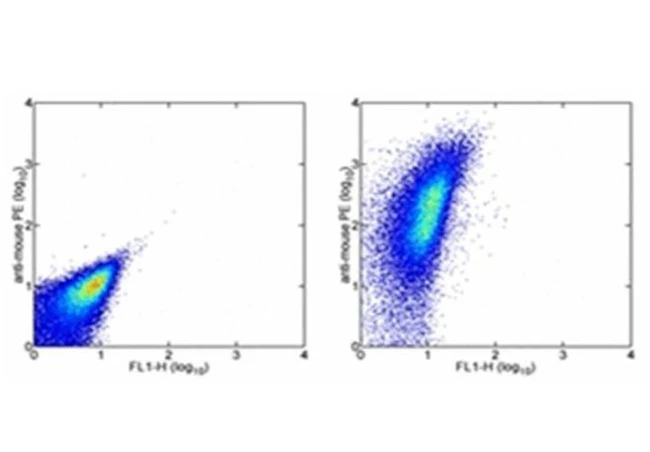 CD47 Monoclonal Antibody (B6H12), eBioscience