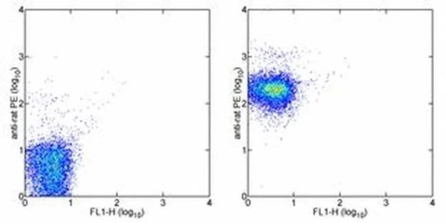 CD47 Monoclonal Antibody (miap301), eBioscience