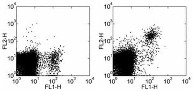 CD49b (Integrin alpha 2) Monoclonal Antibody (DX5), eBioscience