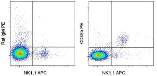 CD49b (Integrin alpha 2) Monoclonal Antibody (DX5), PE, eBioscience