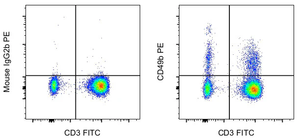 CD49b (Integrin alpha 2) Monoclonal Antibody (P1H5), PE, eBioscience