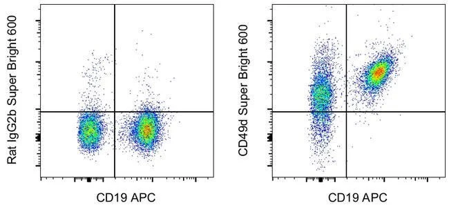 CD49d (Integrin alpha 4) Monoclonal Antibody (R1-2), Super Bright™ 600, eBioscience™