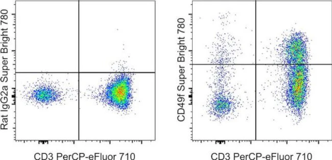 CD49f (Integrin alpha 6) Monoclonal Antibody (eBioGoH3 (GoH3)), Super Bright 780, eBioscience