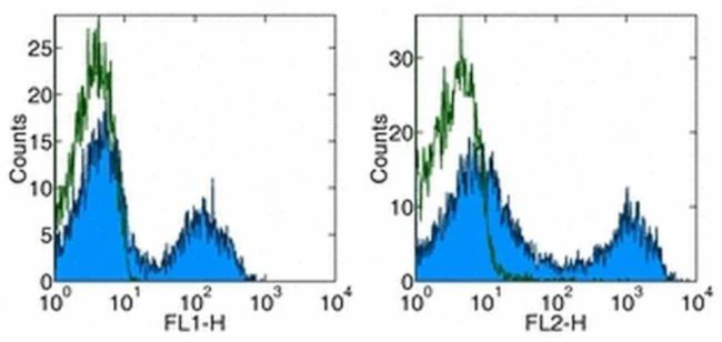 CD5 Monoclonal Antibody (53-7.3), eBioscience