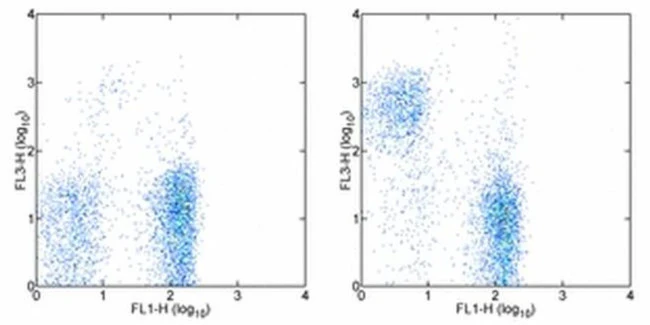 CD5 Monoclonal Antibody (53-7.3), PE-Cyanine7, eBioscience