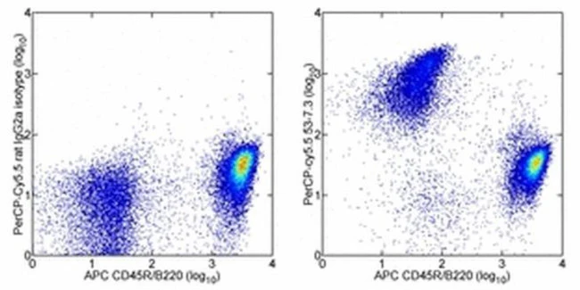 CD5 Monoclonal Antibody (53-7.3), PerCP-Cyanine5.5, eBioscience