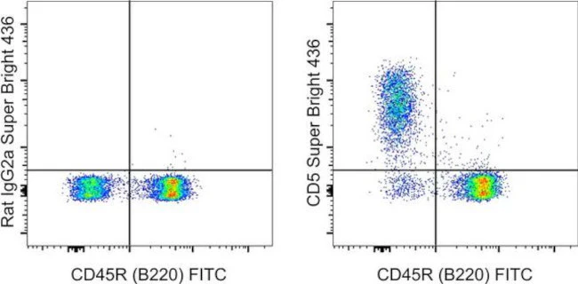 CD5 Monoclonal Antibody (53-7.3), Super Bright 436, eBioscience