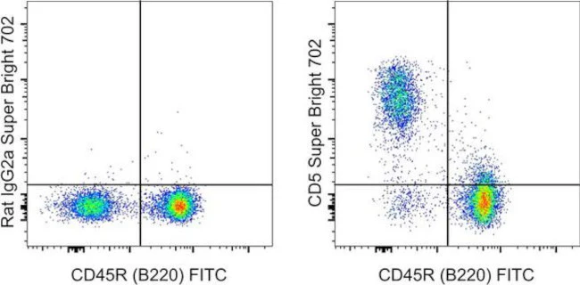 CD5 Monoclonal Antibody (53-7.3), Super Bright 702, eBioscience