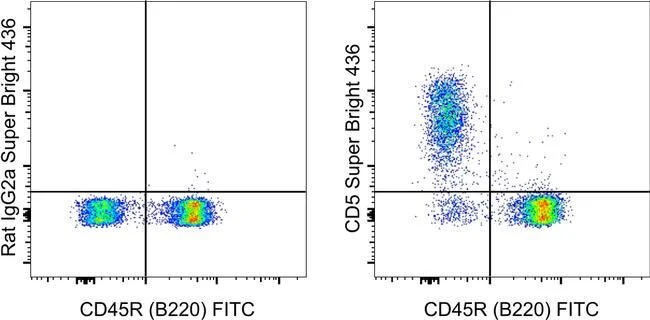 CD5 Monoclonal Antibody (53-7.3), Super Bright™ 436, eBioscience™