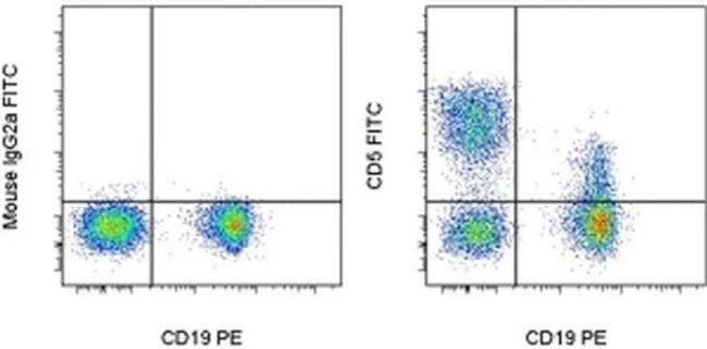 CD5 Monoclonal Antibody (L17F12), FITC, eBioscience