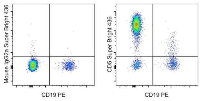 CD5 Monoclonal Antibody (L17F12), Super Bright 436, eBioscience
