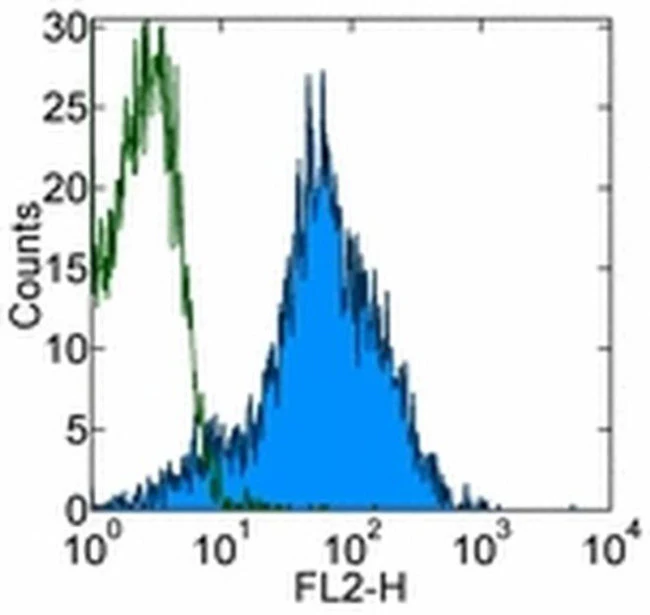 CD54 (ICAM-1) Monoclonal Antibody (eBioKAT-1 (KAT-1, KAT1)), PE, eBioscience