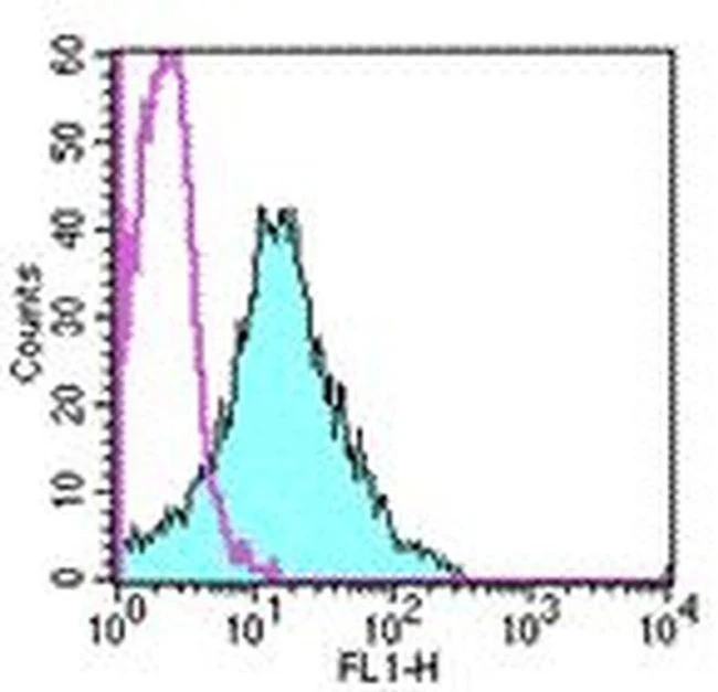 CD54 (ICAM-1) Monoclonal Antibody (YN1/1.7.4), FITC, eBioscience