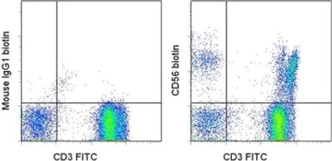 CD56 (NCAM) Monoclonal Antibody (CMSSB), Biotin, eBioscience
