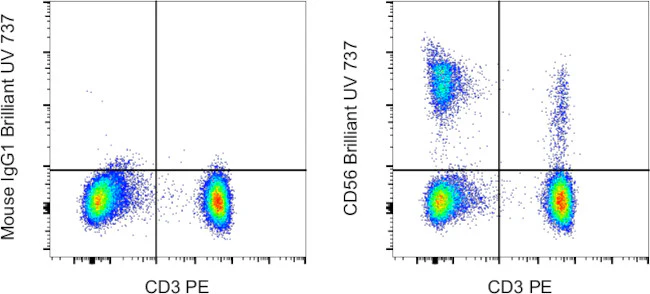 CD56 (NCAM) Monoclonal Antibody (TULY56), Brilliant Ultra Violet 737, eBioscience