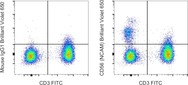 CD56 (NCAM) Monoclonal Antibody (TULY56), Brilliant Violet 650, eBioscience