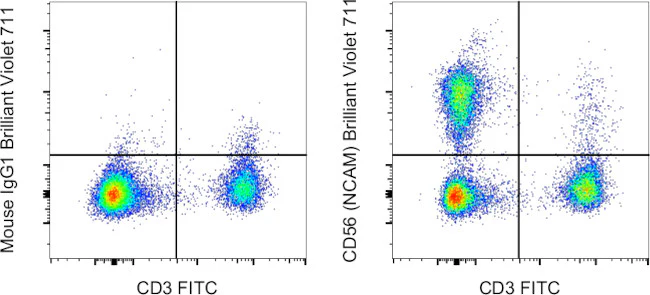 CD56 (NCAM) Monoclonal Antibody (TULY56), Brilliant Violet 711, eBioscience