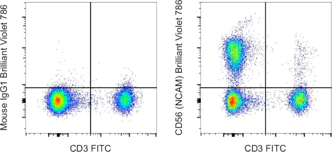 CD56 (NCAM) Monoclonal Antibody (TULY56), Brilliant Violet 786, eBioscience