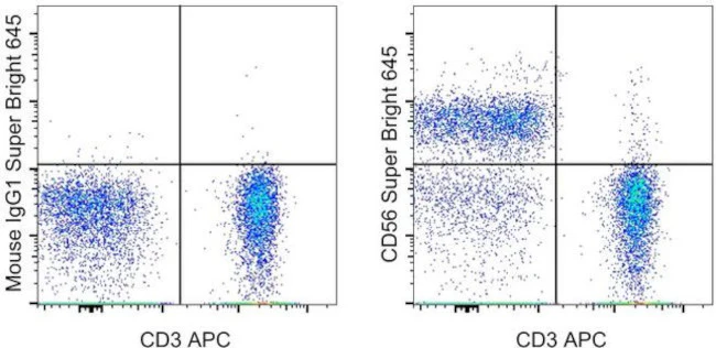 CD56 (NCAM) Monoclonal Antibody (TULY56), Super Bright 645, eBioscience