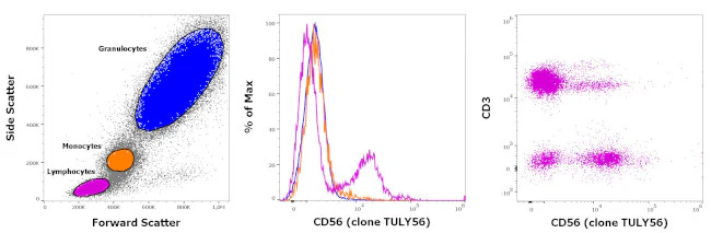 CD56 (NCAM) Monoclonal Antibody (TULY56), Super Bright 780, eBioscience
