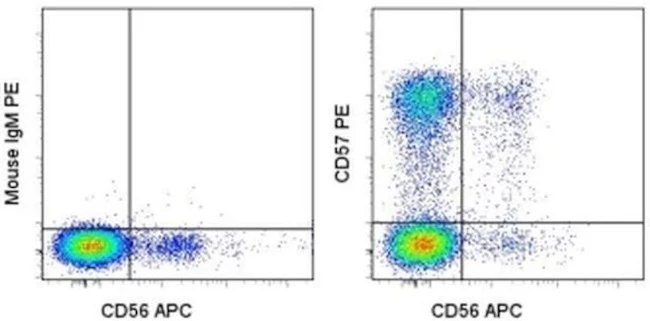 CD57 Monoclonal Antibody (TB01 (TBO1)), PE, eBioscience