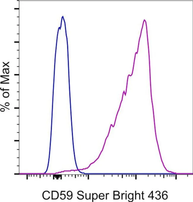 CD59 (Protectin) Monoclonal Antibody (OV9A2), Super Bright 436, eBioscience